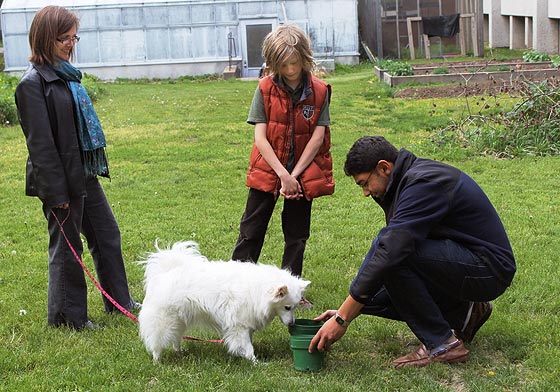 biology laboratory dog experiment