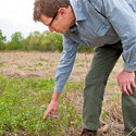 Faculty Member’s Book Examines Ecological Research