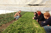 Students Examine Regional Food System on Location