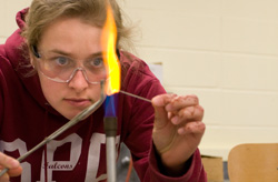 83: The percentage of students who complete independent study, research, or creative projects.