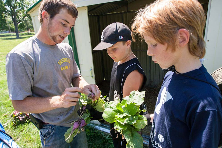 A summer camp at Knox called Farm to Fork focuses on teaching children about local food.
