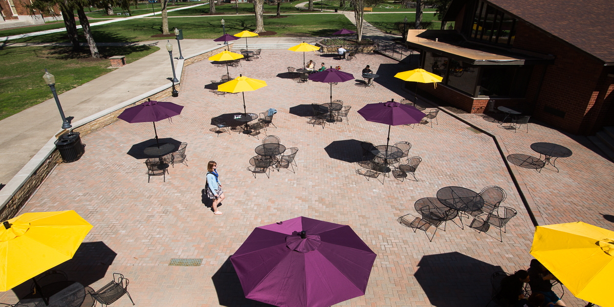 Purple and yellow umbrellas on the Gizmo Patio.
