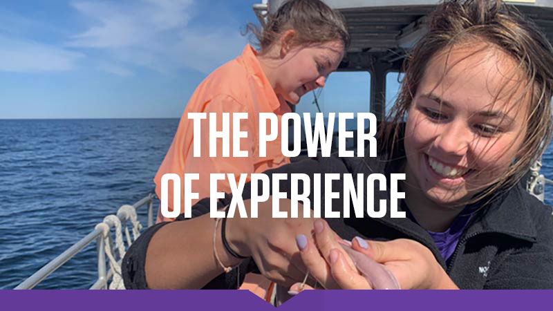 The Power of Experience: Emily McParland '21 examines a marine animal during an immersion course in Maine.