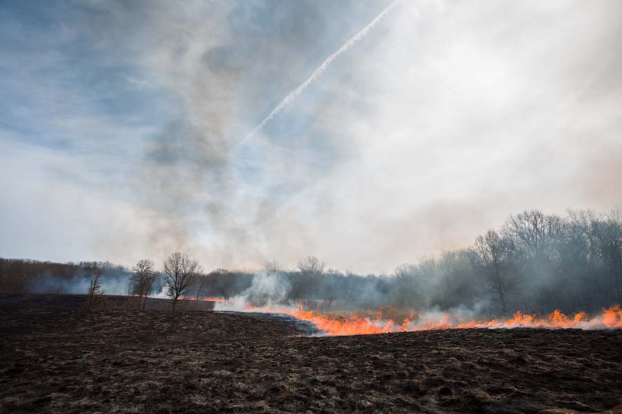 The annual Prairie Burn at Knox College's Green Oaks Biological Field Station.