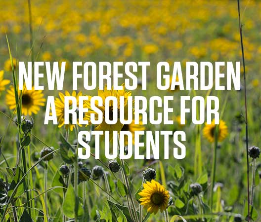 The new forest garden at Green Oaks Biological Field Station will be a resource for students.