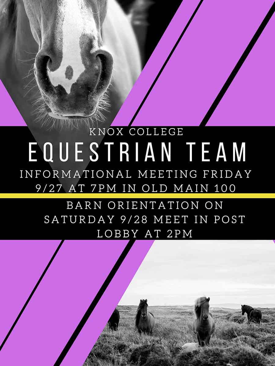 Equestrian Team