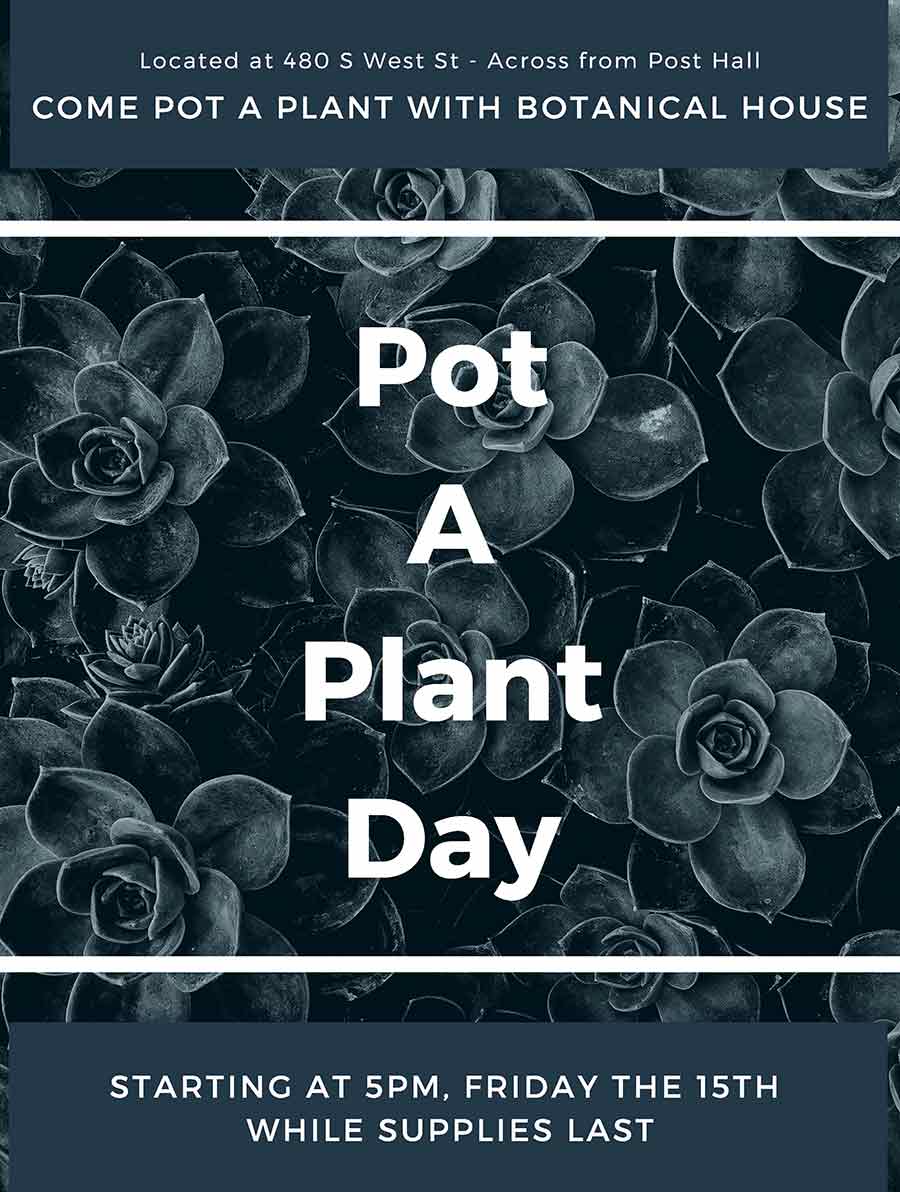 Pot a Plant Day
