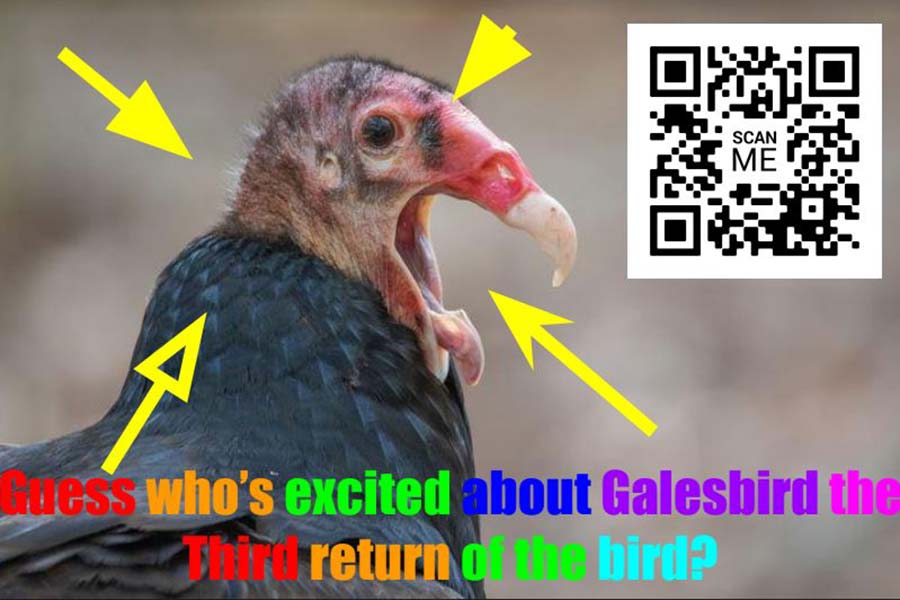 BirdEvent