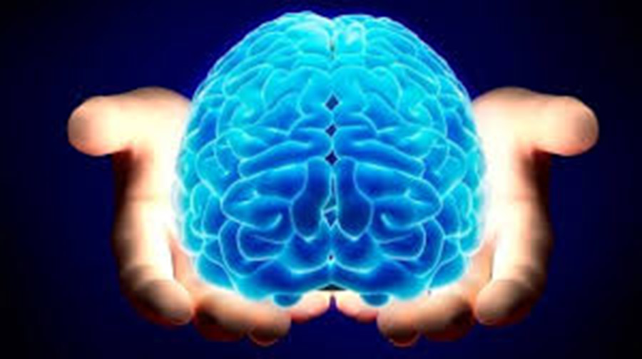 Neuro-Psych Club