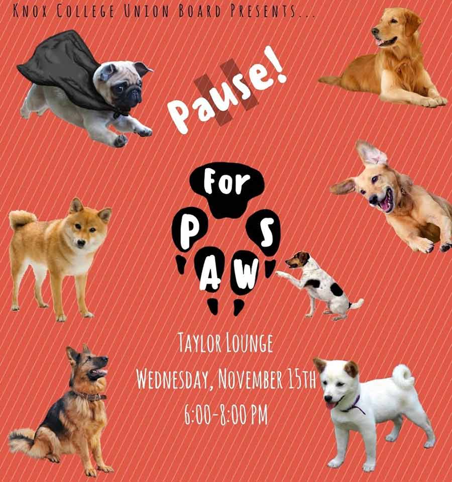 Pause for Paws