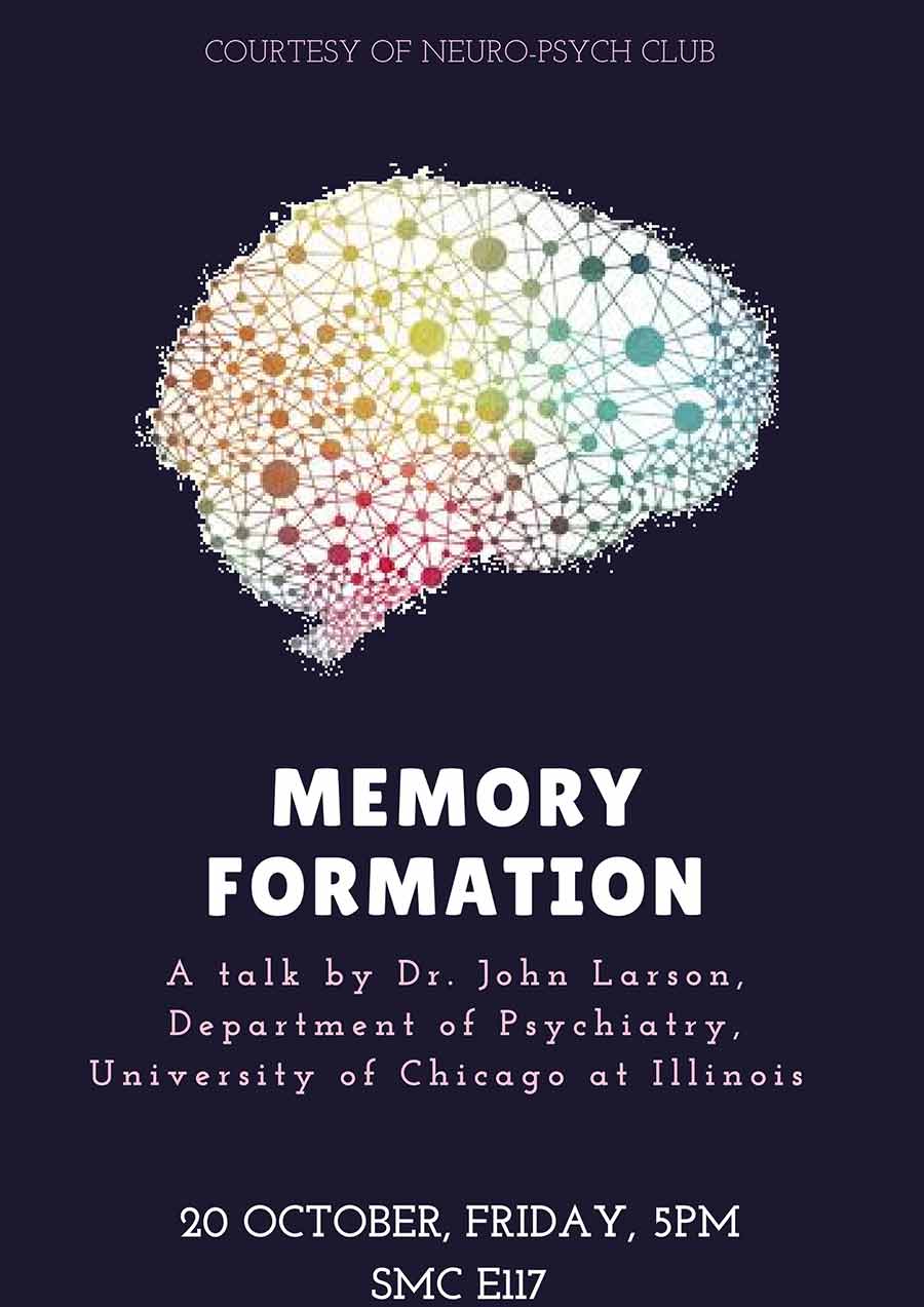 Memory Formation