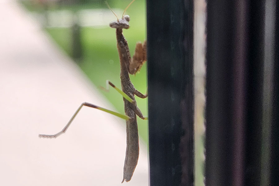Photo of the Day - September 20, 2023