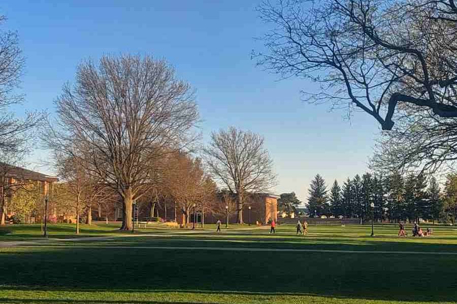 Photo of the Day - May 08, 2025