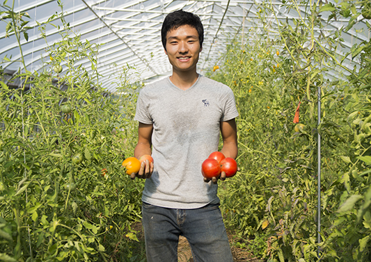 Isaac Lee, manager of the Knox Farm, holds up tomatoes.