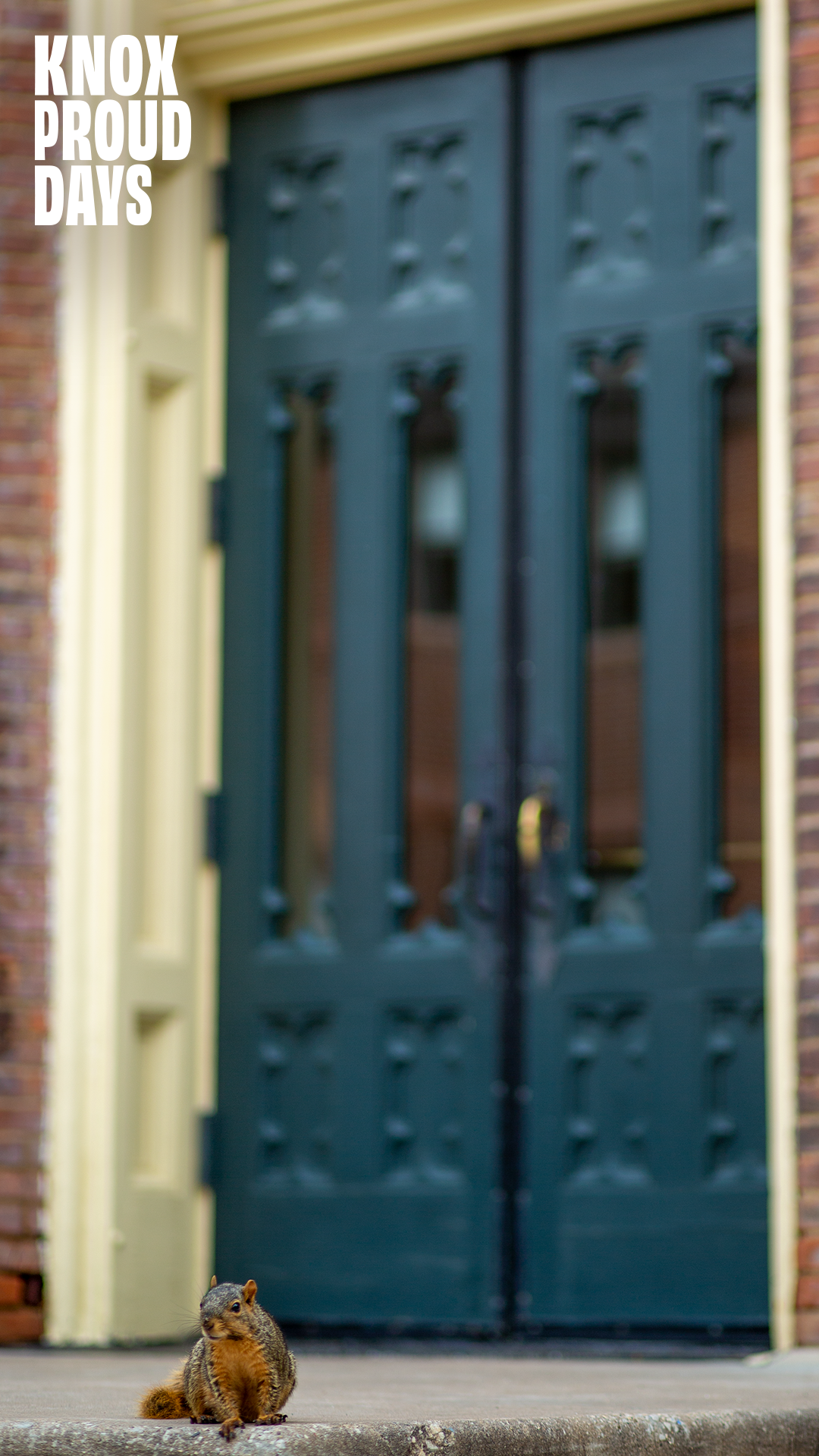 A squirrel sits on cement stairs in front of a set of green double doors.