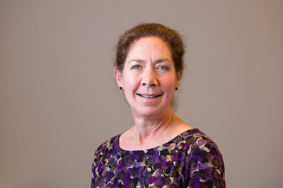 Ann Feldman Perille '76