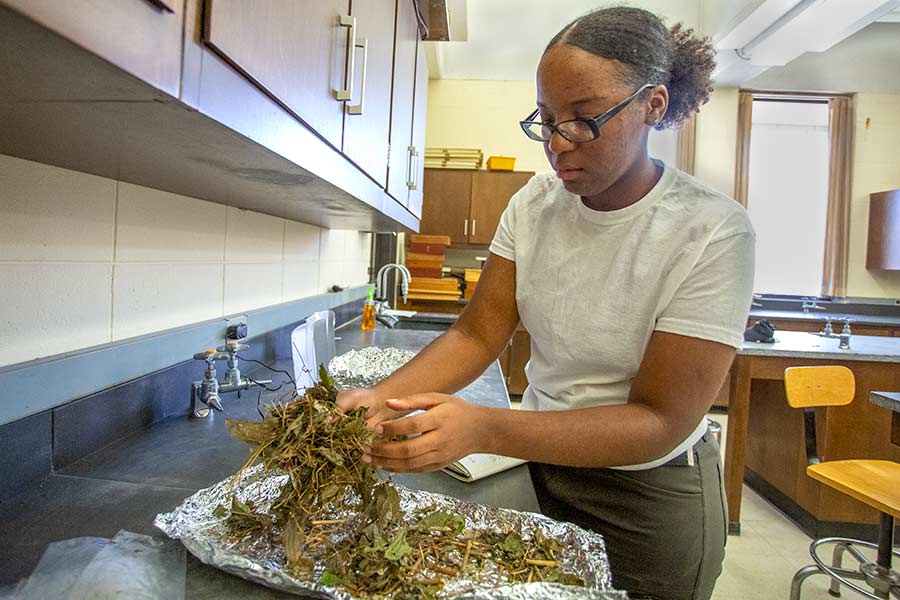 Tresa James '20 conducts research on campus as part of her Green Oaks summer project. 