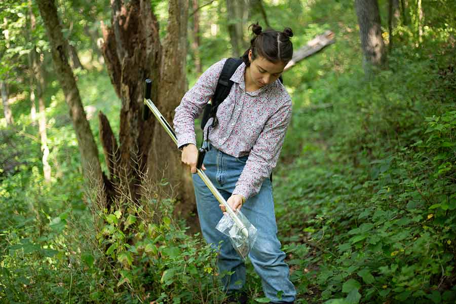 Lydia Allen '20 collects soil samples to measure organic carbon levels at Green Oaks.