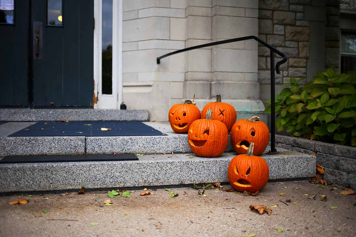 A collection of pumpkins carved by students at an October 2020 Union Board event on display on the steps of Seymour Library