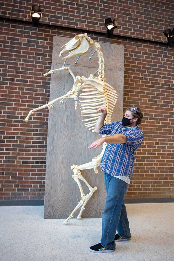 Assistant Professor of Biology Nick Gidmark mimics the stance of a rearing horse.