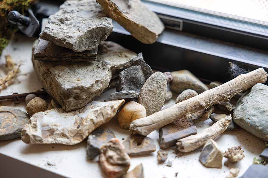 Different rocks and sticks and other items found outside sit on a windowsill. 