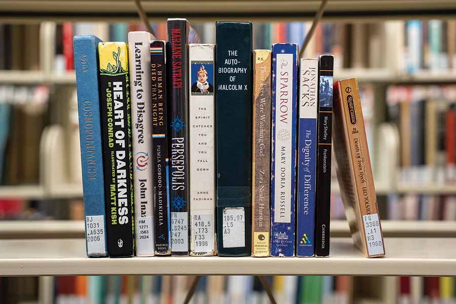 Books sit next to each other in a row on a shelf.