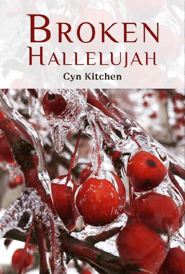 Book cover of Broken Hallelujah