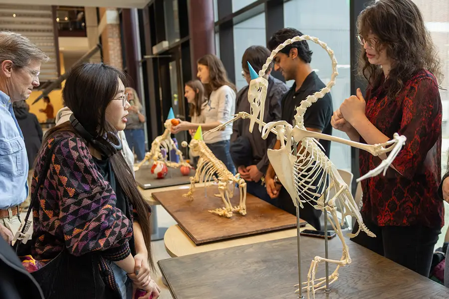 Knox students showcase their work in anatomy in the atrium of the Umbeck Science-Mathematics Center.