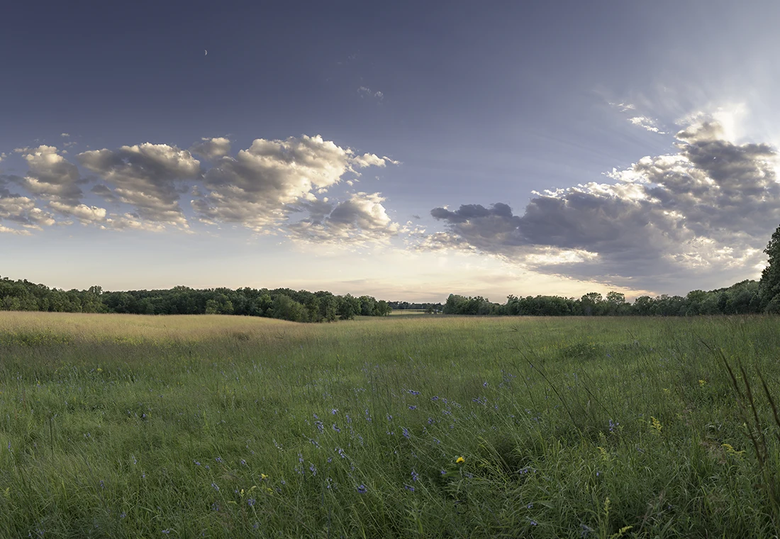 The sun's rays extend from behind a large cloud over a sprawling field of green.