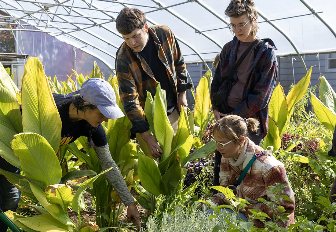 Four members of the Knox community study the plants growing in a hoop house on the Knox farm.