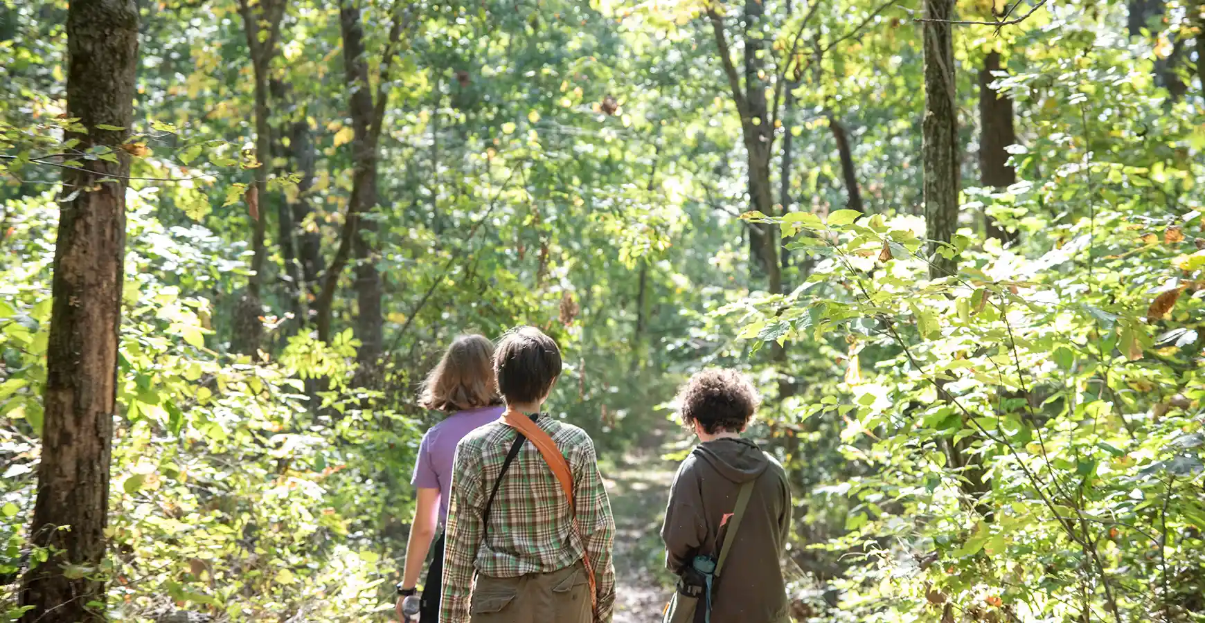 Three students walking away from the camera on a Green Oaks trail. 