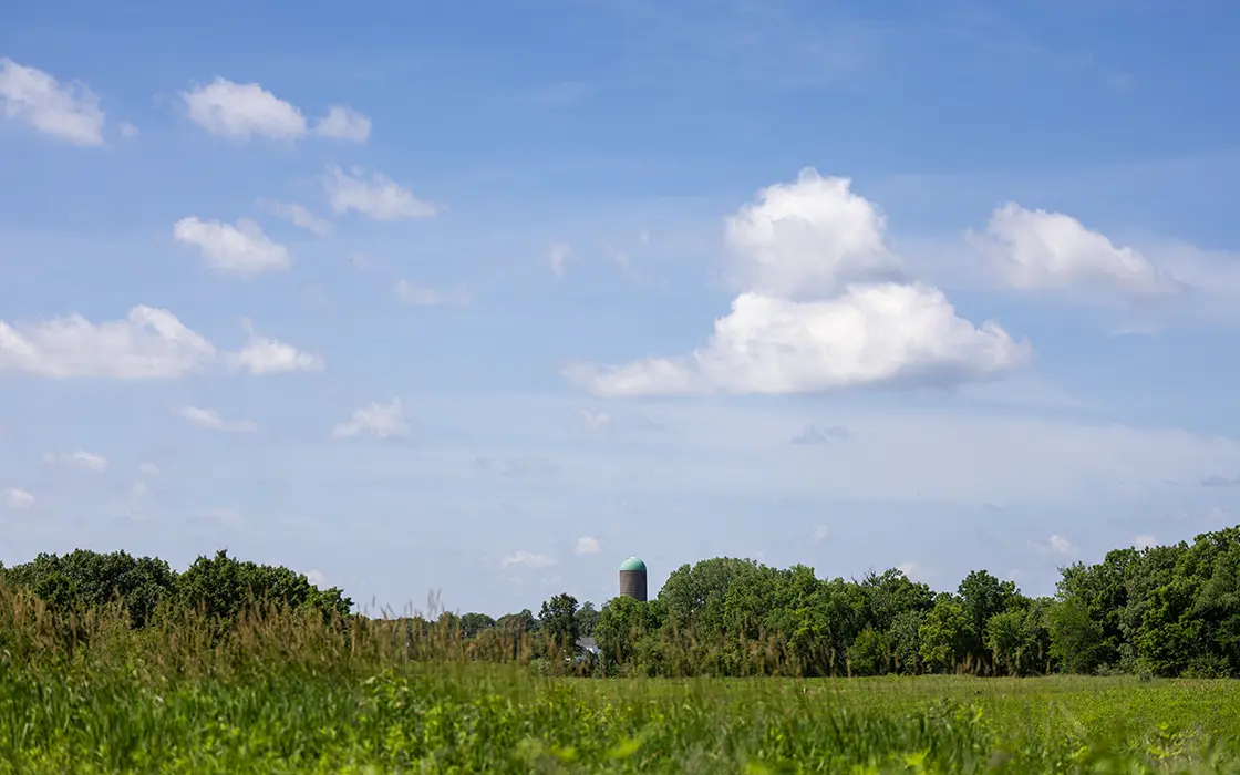 A landscape view of Green Oaks on a sunny day, with a prairie in the forefront and the woodlands in the background.
