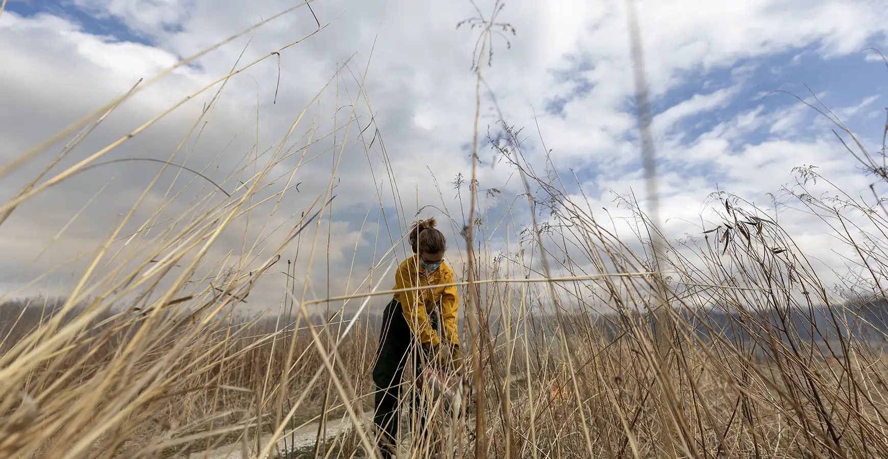 A Knox student prepares for the prairie burn in a field of tall grass.