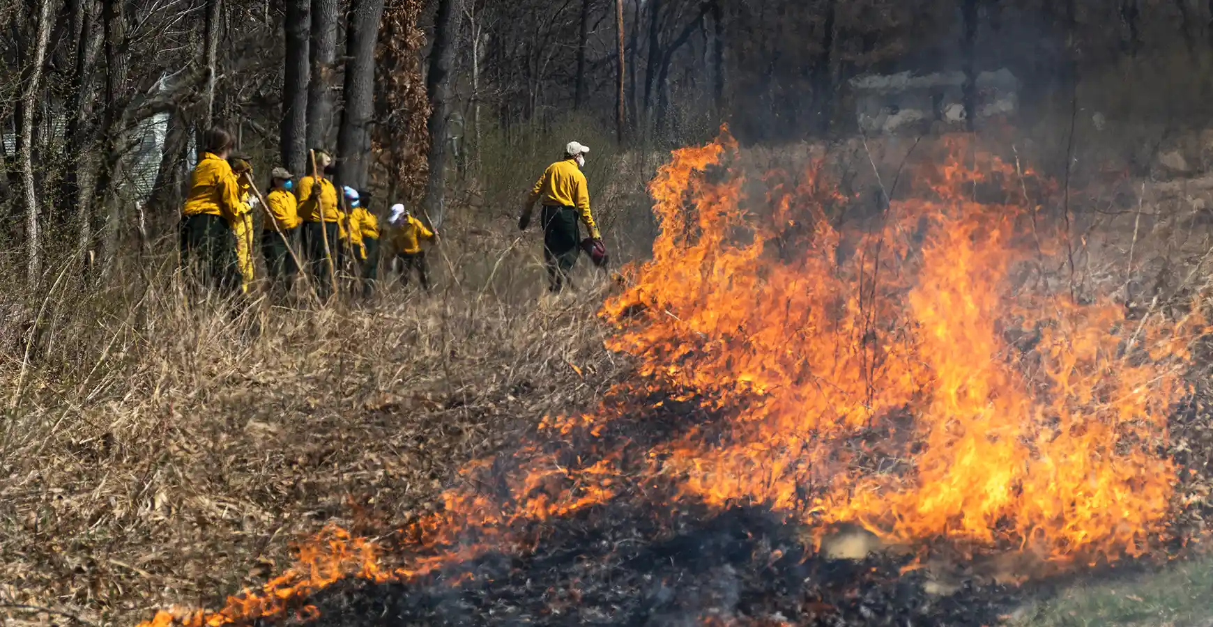 A small group of students, dressed in yellow shirts and dark pants, watch a prairie fire during the annual Green Oaks prairie burn.