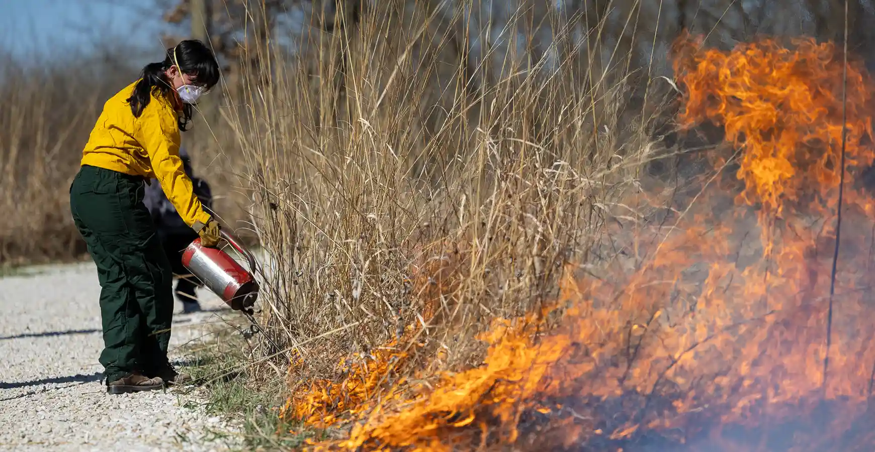 A person wearing a mask and protective clothing holds a red can near dry grass. The grass in the foreground of the photo is on fire.