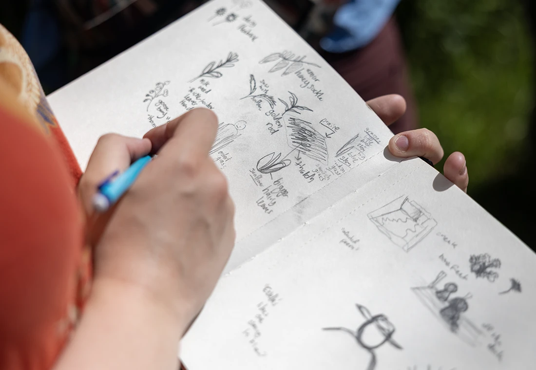 A student draws in a notebook with drawings of plants that are labeled, such as golden rod. 