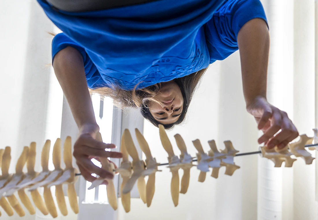A student holds the skeleton of an animal. The photo is shot from underneath the skeleton, looking up at the student.