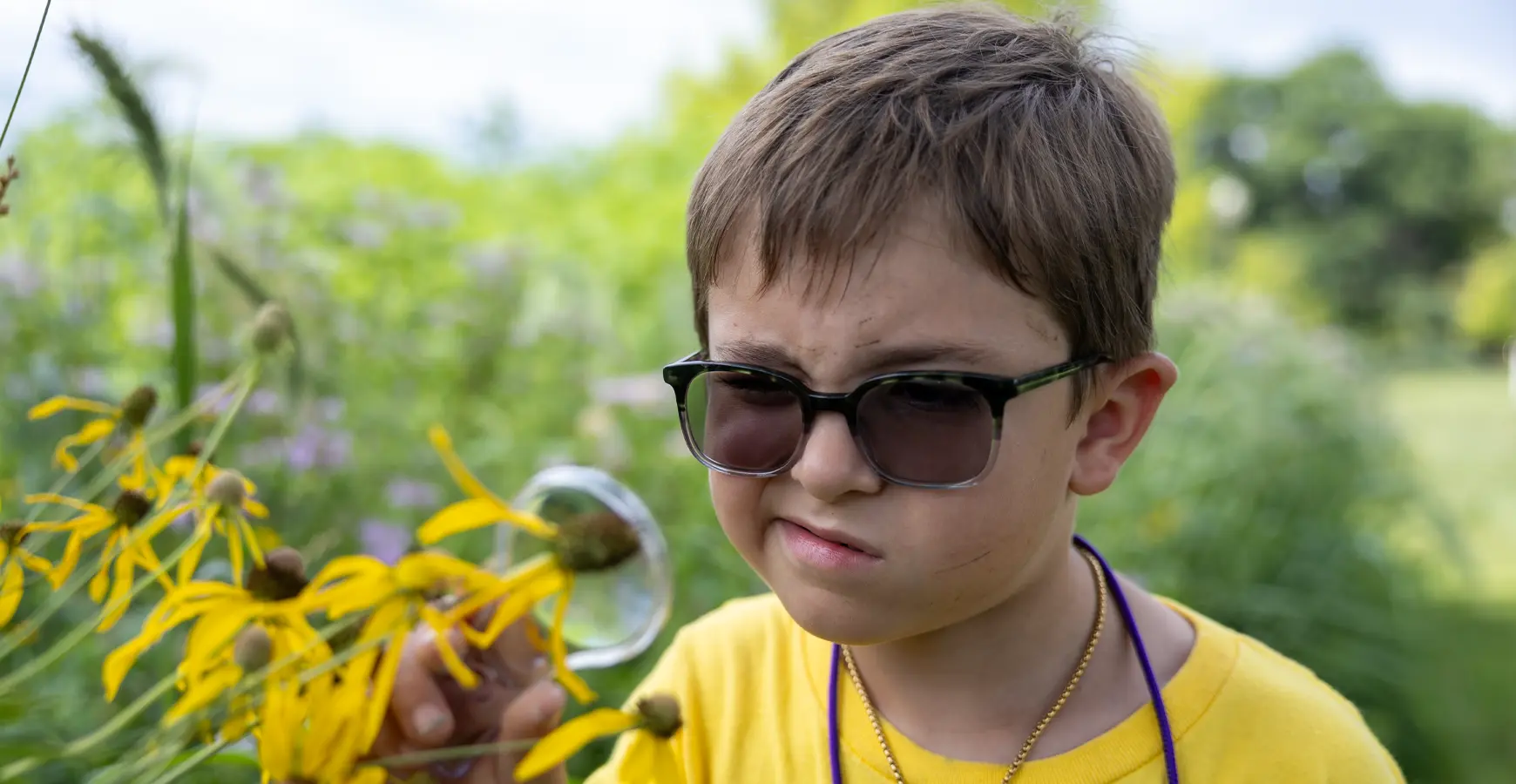 A boy wearing a yellow shirt squints as he examines a sunflower with a magnifying glass during Knox's College 4 Kids program.