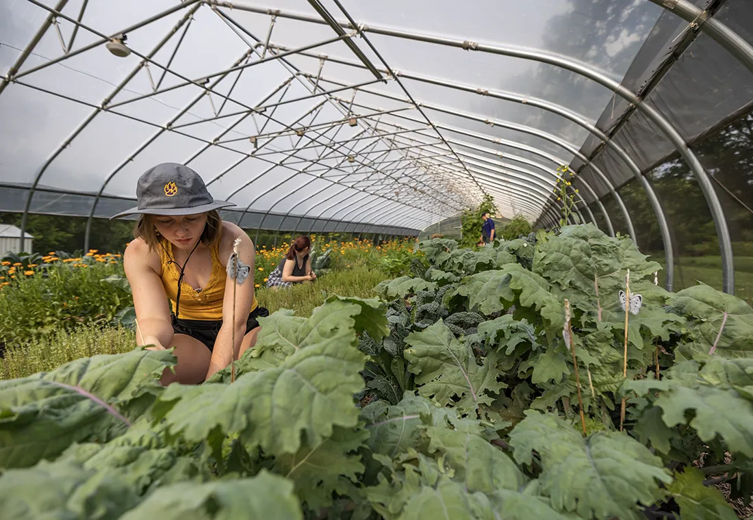 A student works in a greenhouse. She wears a Prairie Fire hat and is surrounded by plants.