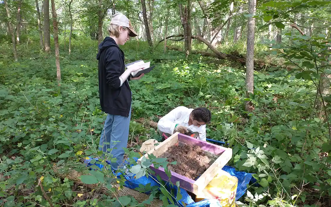 Two students sift dirt, surrounded by trees and greenery. 