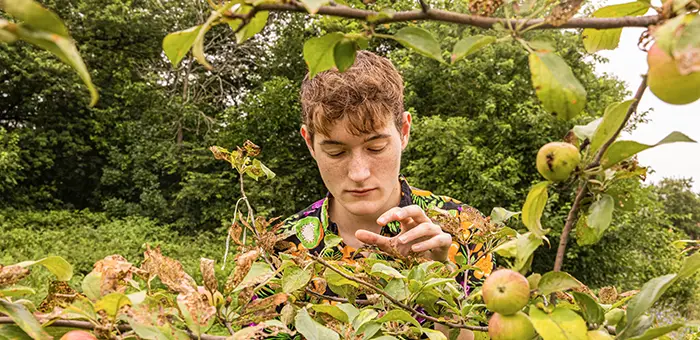 At Knox Farm, a student checks the beetles in their project for Solutions from Nature: Environmental Approaches to Cultivation Challenges class.