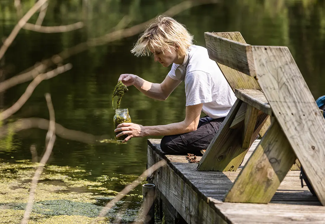 A student kneels at the edge of a wooden dock, scooping an algal bloom from the lake below and putting it into a glass mason jar. 