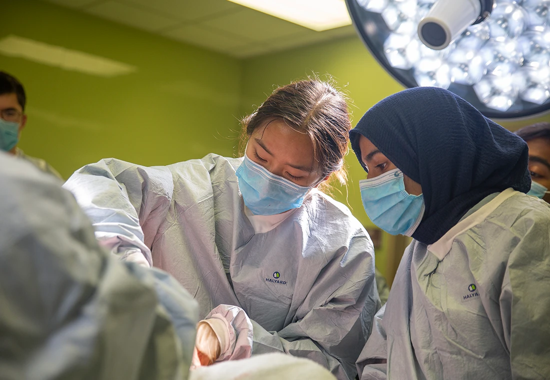 Two students wear surgical masks and sterile gowns as they perform a mock surgical procedure in class.