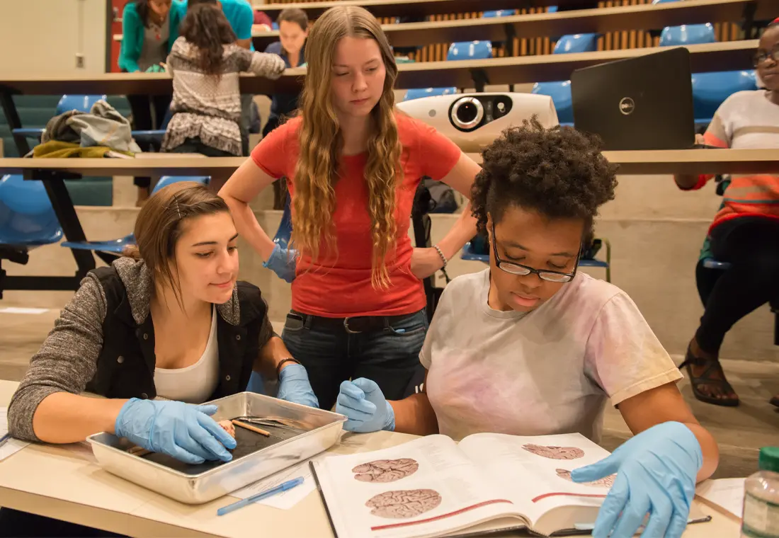 Three students wearing rubber gloves perform a brain dissection. One holds a book showing images of brains, and one has a silver metal tray in front of her.