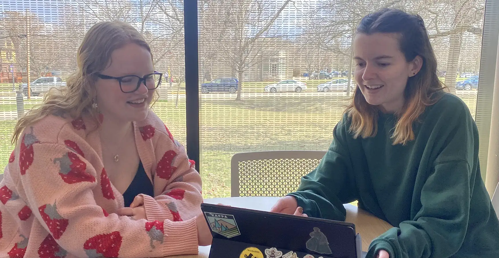 Two students sit at a table in front of a window, both looking at a laptop.