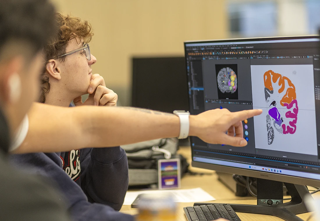 A student looks at an image of a brain on a computer in a brain mapping exercise.