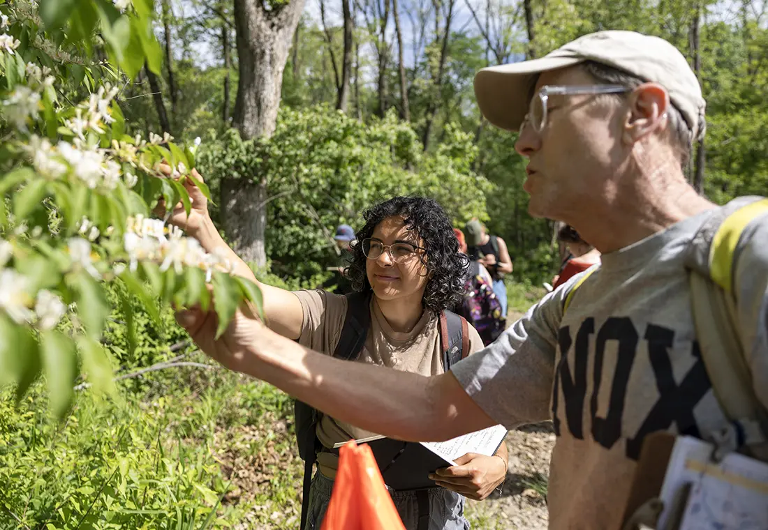 A Knox professor and student in examining a tree.