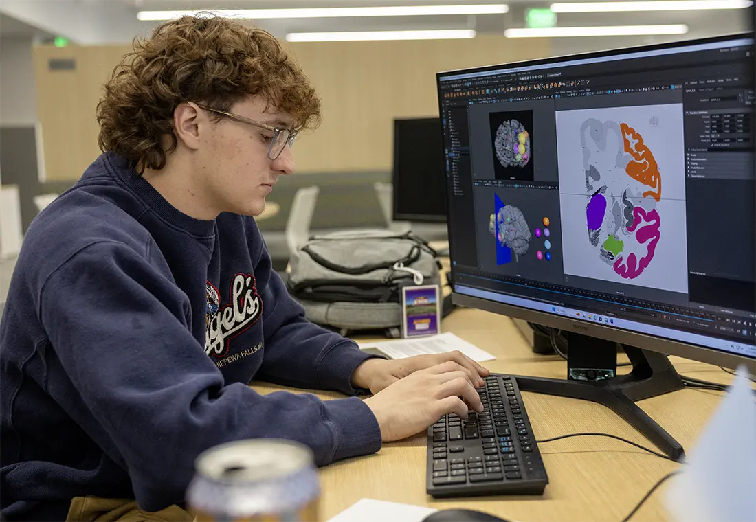 A student sits at a computer working on a program that labels the brain.
