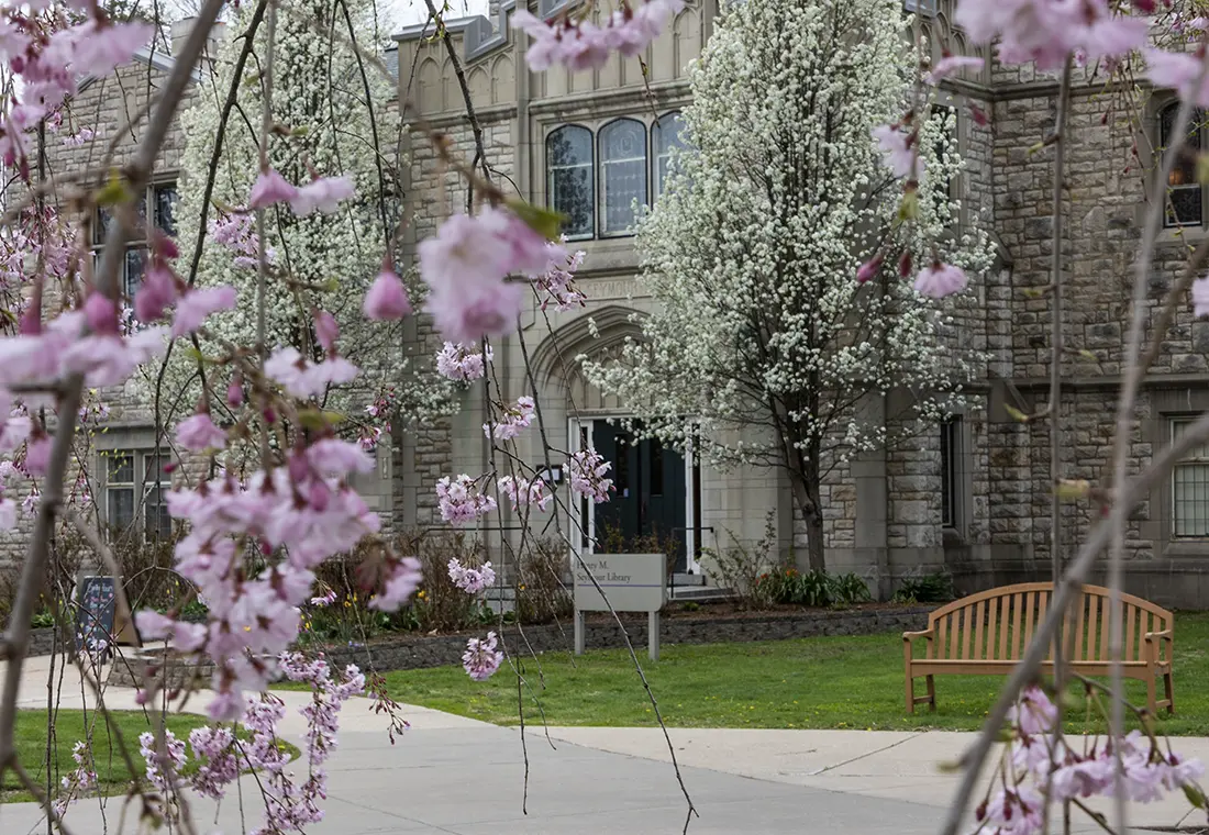 The front of Seymour Library with a flowering tree in front of it.
