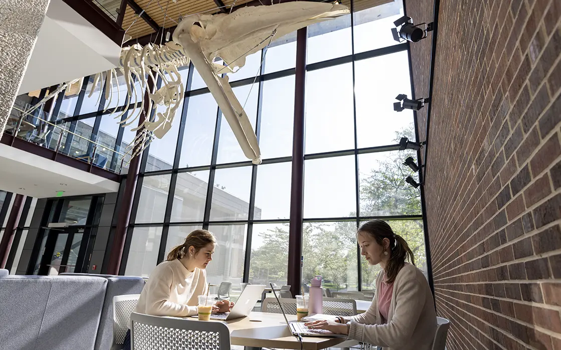 Two Knox College students study under the bone of a whale in front of floor to ceiling windows in a building.